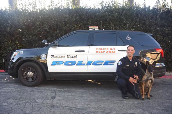 Police Files Dog photo 2
